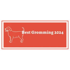 Best Grooming Award 2024